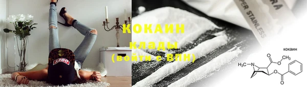 ГАЛЛЮЦИНОГЕННЫЕ ГРИБЫ Абаза