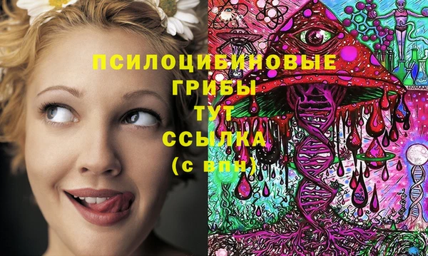 гидропоника Алзамай